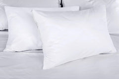 Pillow Protector - 100% Waterproof Terry Laminated with Zipper (Pigment)